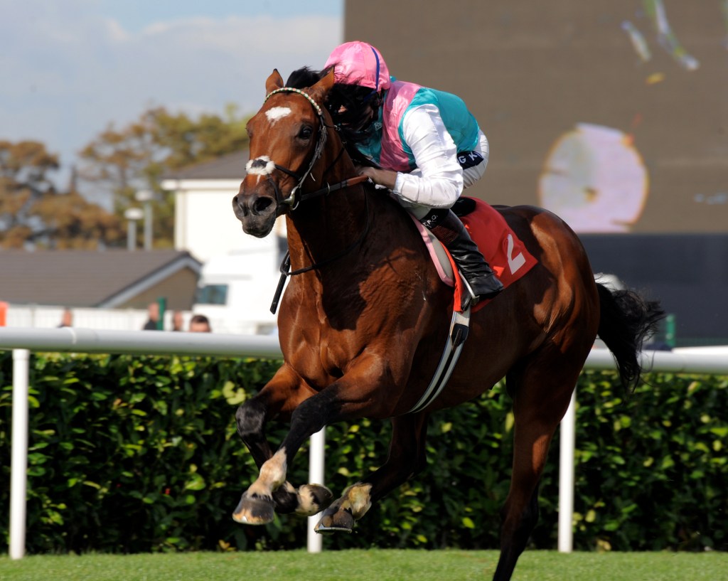 Dawn Ades on the racehorse, Frankel