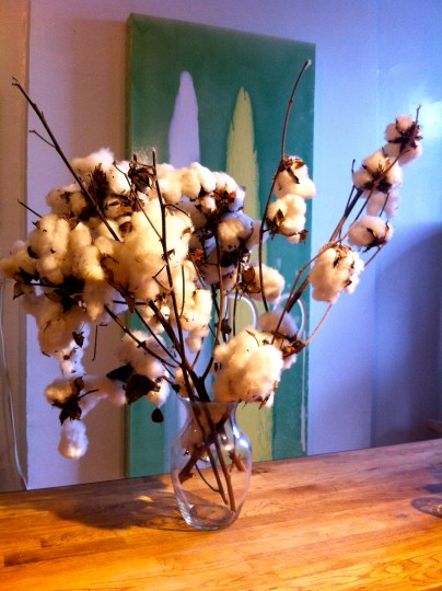 Nicholas Riggle on his cotton branches