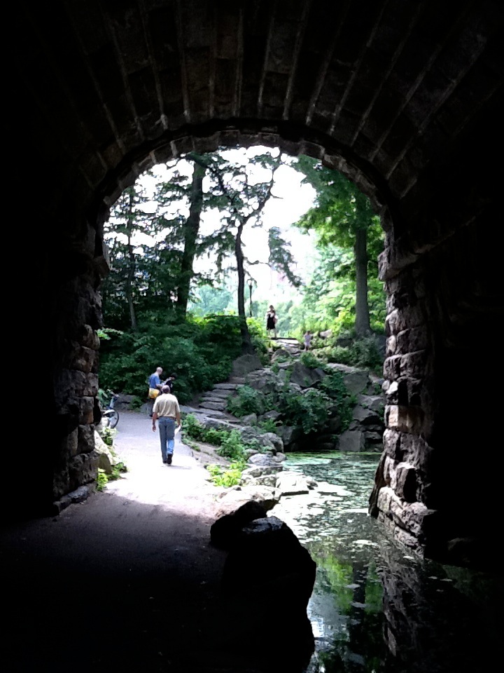 Joshua Cohen chose New York's Central Park