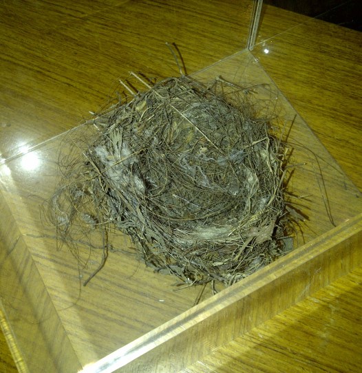 Solange Azagury-Partridge's nest