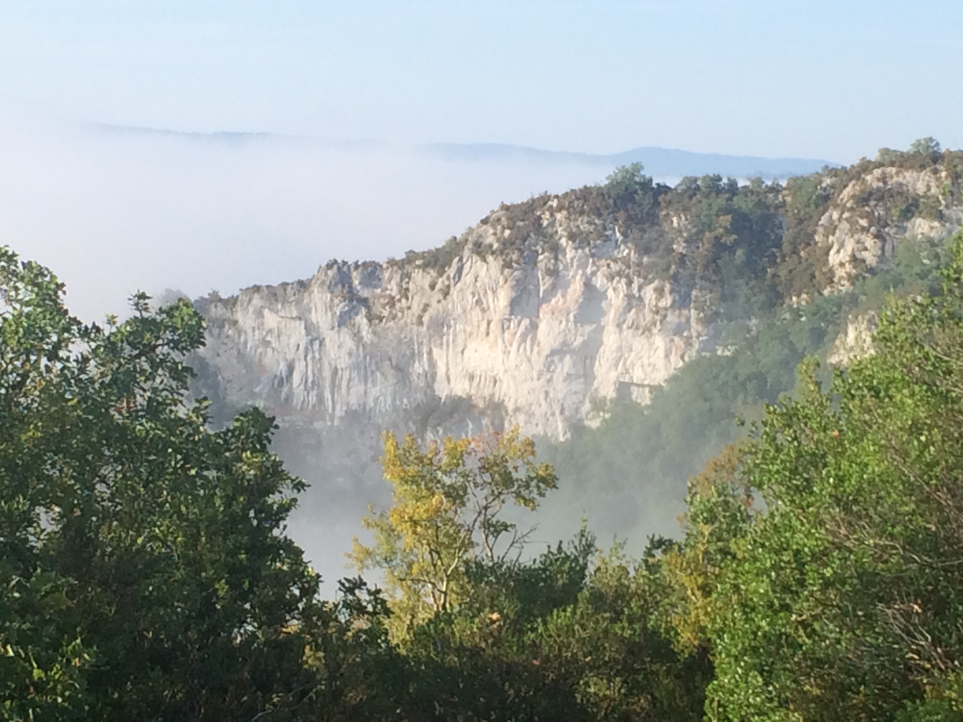 29A4E887-800B-4B75-9634-7955B0541519